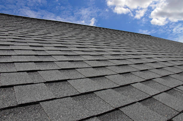 Best Solar Panel Roofing Installation  in Halawa, HI